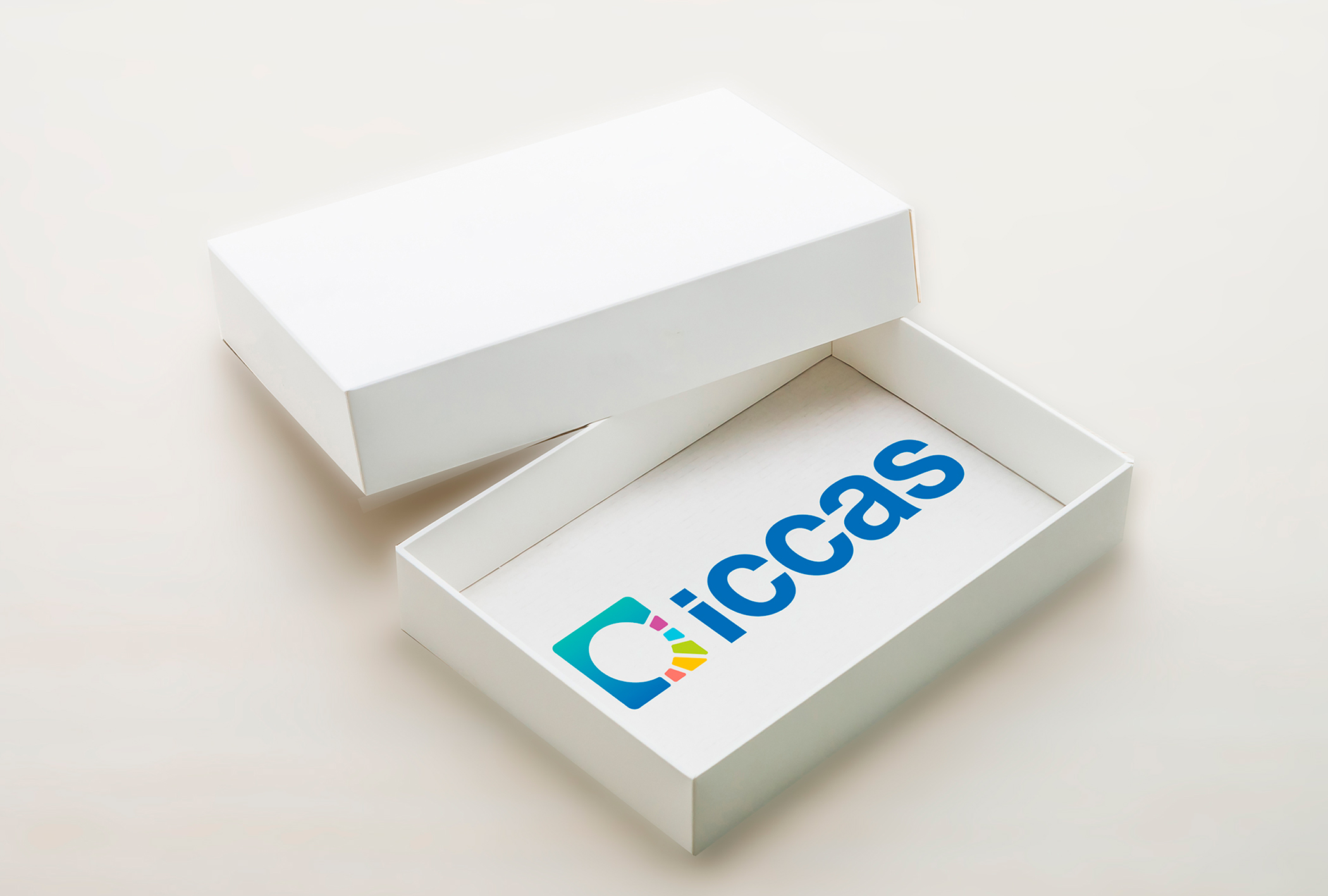 ICCAS caja